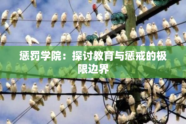 惩罚学院：探讨教育与惩戒的极限边界