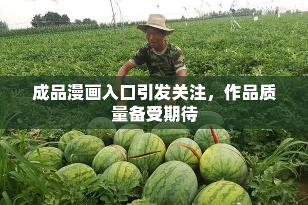 成品漫画入口引发关注，作品质量备受期待