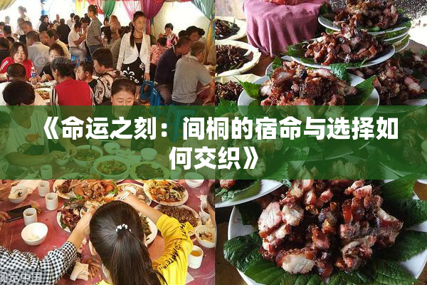 《命运之刻：间桐的宿命与选择如何交织》