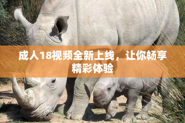 成人18视频全新上线，让你畅享精彩体验
