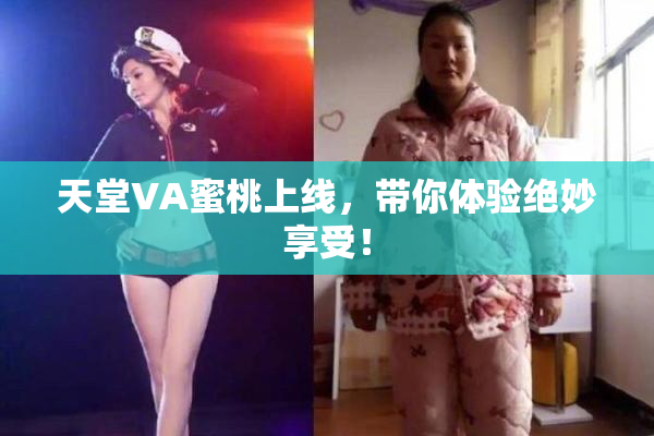 天堂VA蜜桃上线，带你体验绝妙享受！