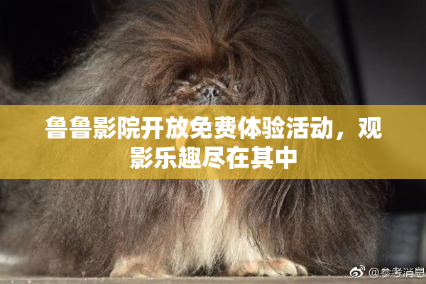 鲁鲁影院开放免费体验活动，观影乐趣尽在其中