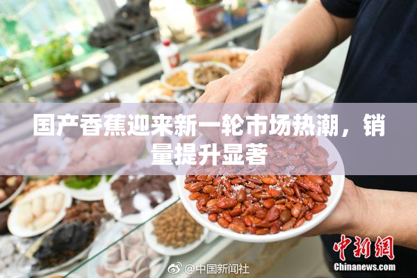 国产香蕉迎来新一轮市场热潮，销量提升显著