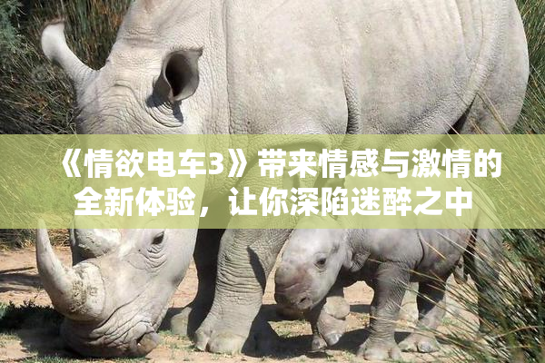 《情欲电车3》带来情感与激情的全新体验，让你深陷迷醉之中