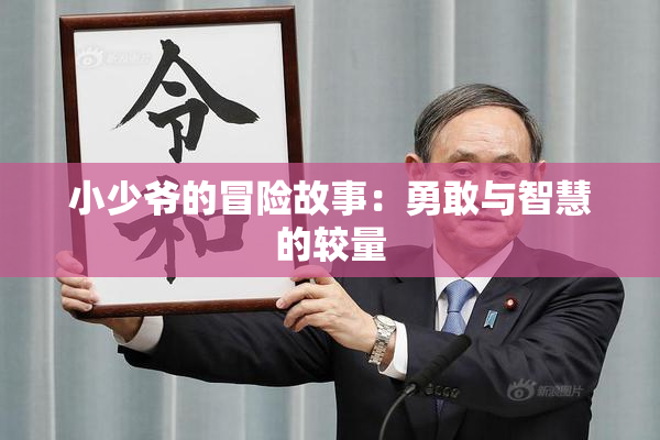 小少爷的冒险故事：勇敢与智慧的较量