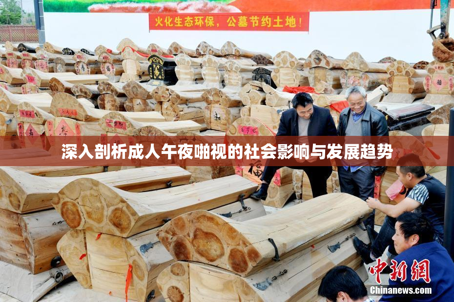 深入剖析成人午夜啪视的社会影响与发展趋势