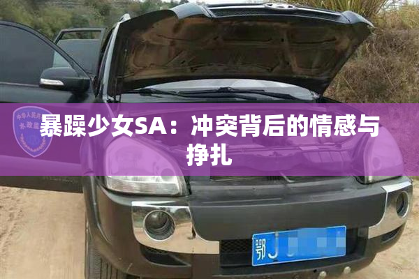 暴躁少女SA：冲突背后的情感与挣扎