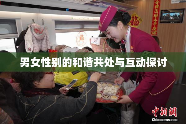 男女性别的和谐共处与互动探讨
