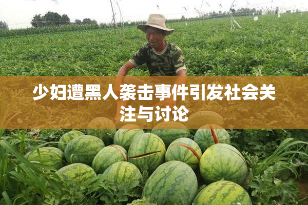 少妇遭黑人袭击事件引发社会关注与讨论