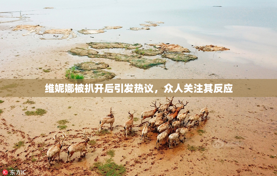 维妮娜被扒开后引发热议，众人关注其反应