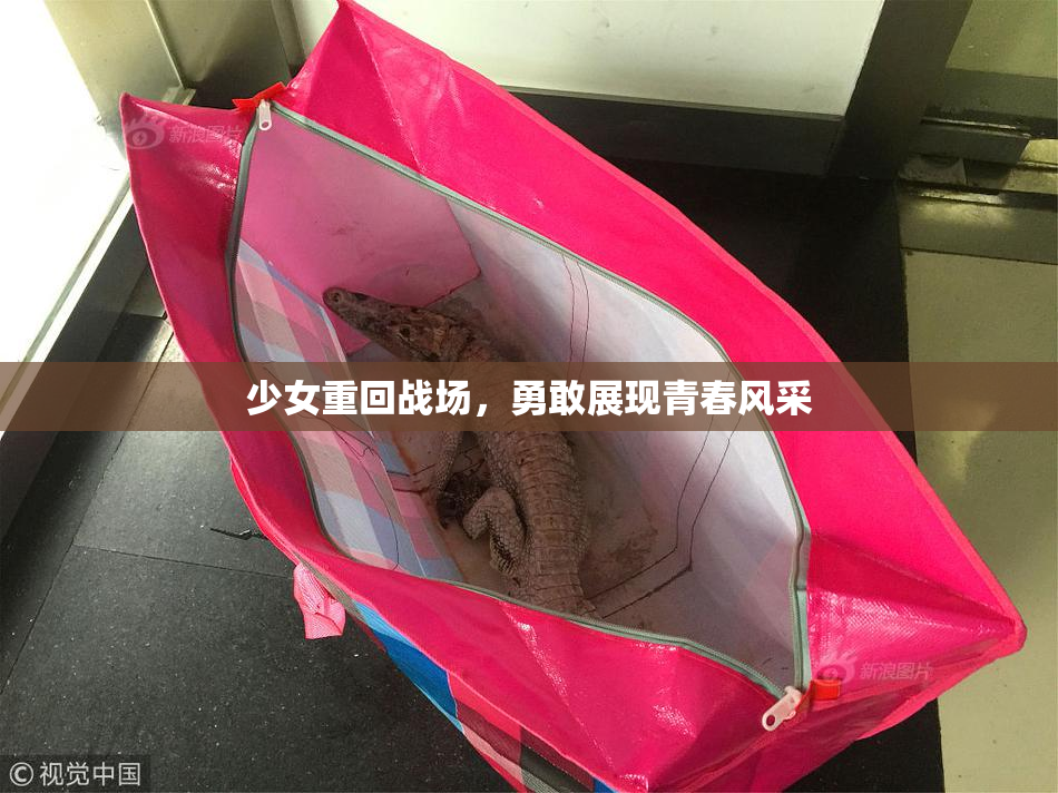 少女重回战场，勇敢展现青春风采