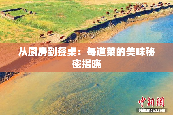 从厨房到餐桌：每道菜的美味秘密揭晓