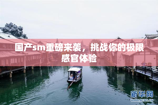 国产sm重磅来袭，挑战你的极限感官体验