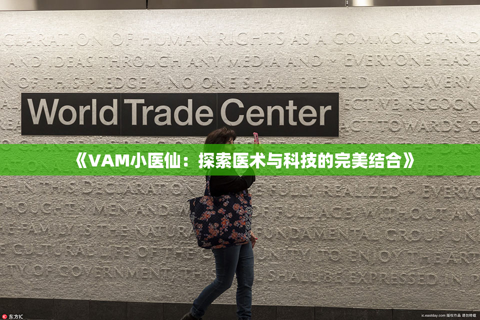 《VAM小医仙：探索医术与科技的完美结合》