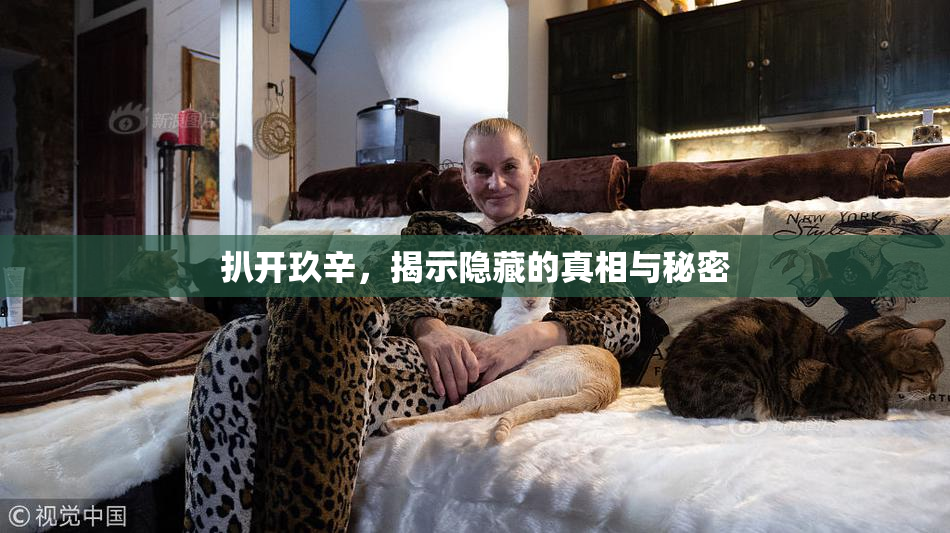 扒开玖辛，揭示隐藏的真相与秘密