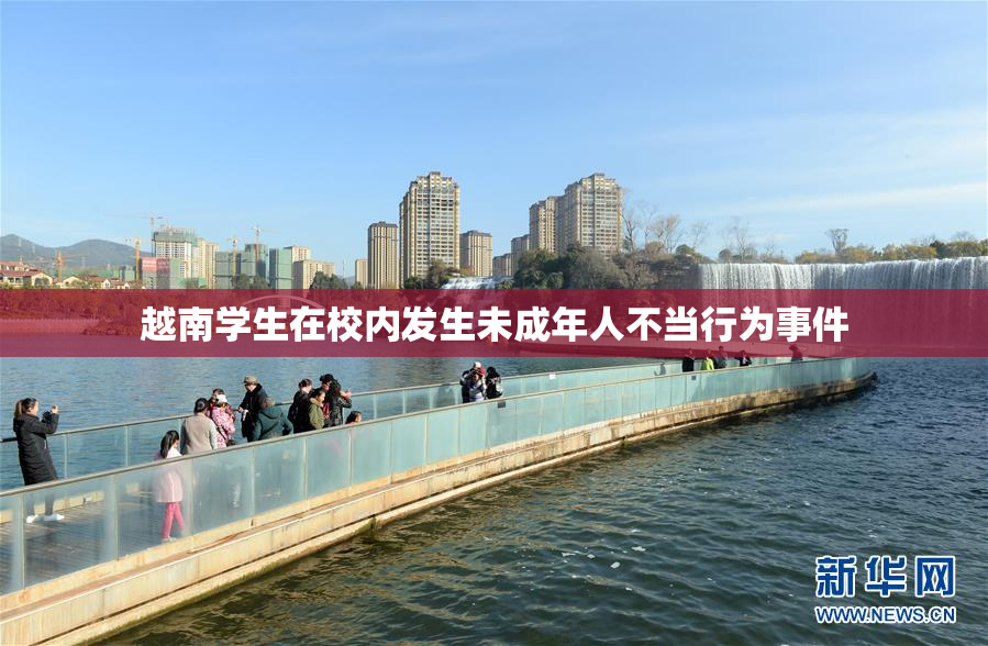 越南学生在校内发生未成年人不当行为事件