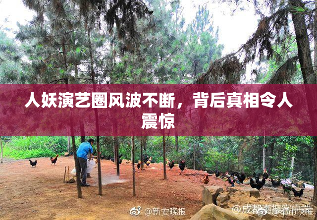 人妖演艺圈风波不断，背后真相令人震惊