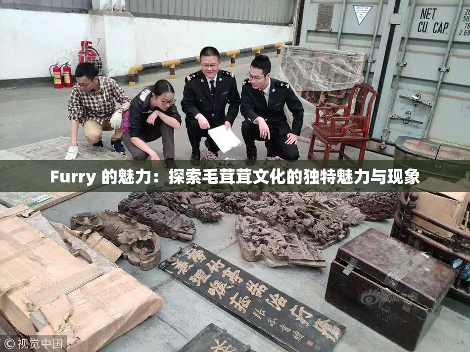 Furry 的魅力：探索毛茸茸文化的独特魅力与现象