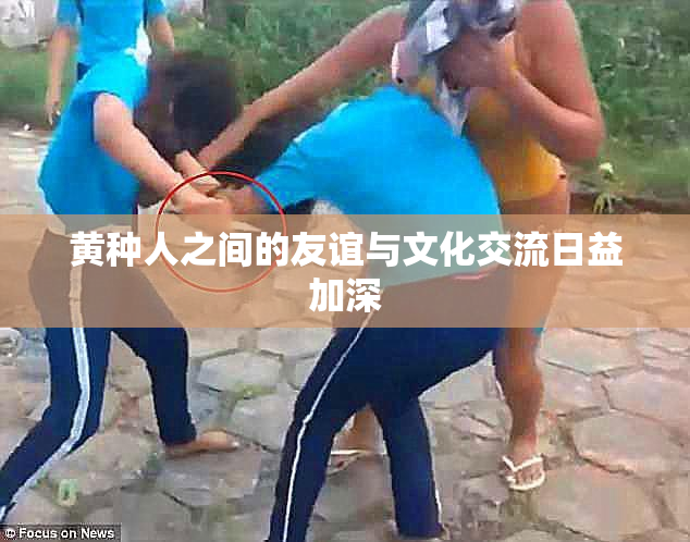 黄种人之间的友谊与文化交流日益加深