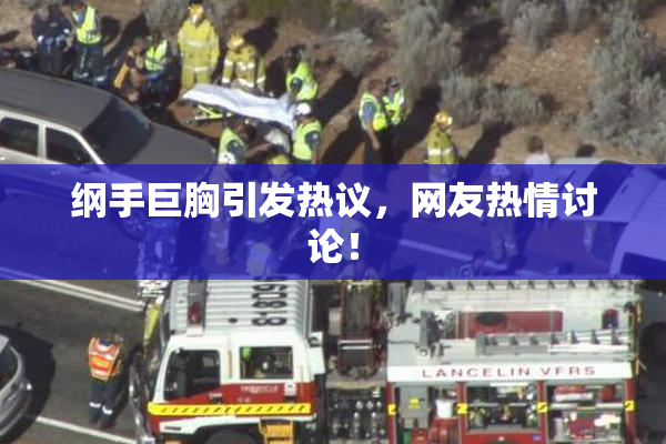 纲手巨胸引发热议，网友热情讨论！