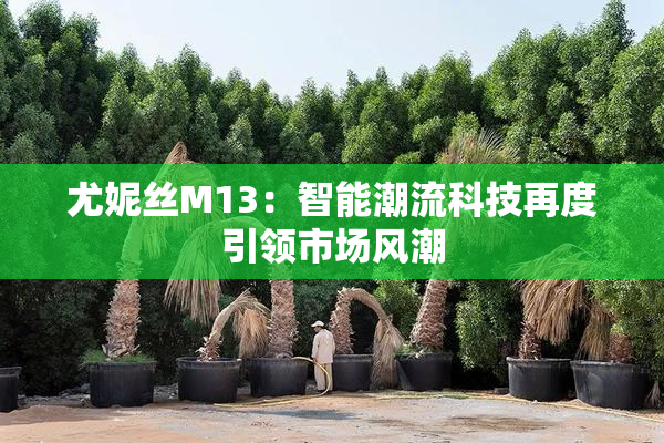 尤妮丝M13：智能潮流科技再度引领市场风潮
