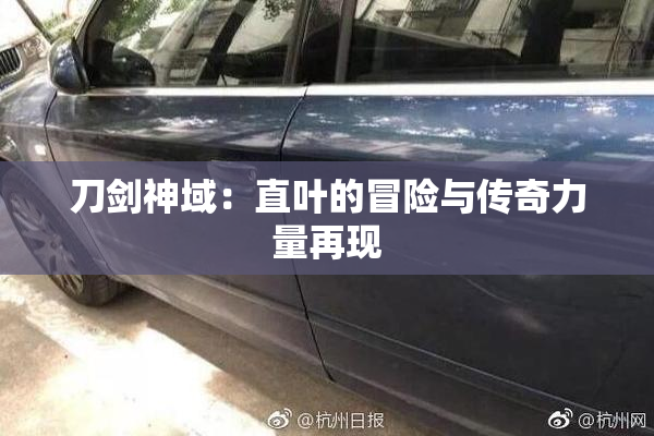 刀剑神域：直叶的冒险与传奇力量再现