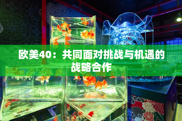 欧美40：共同面对挑战与机遇的战略合作