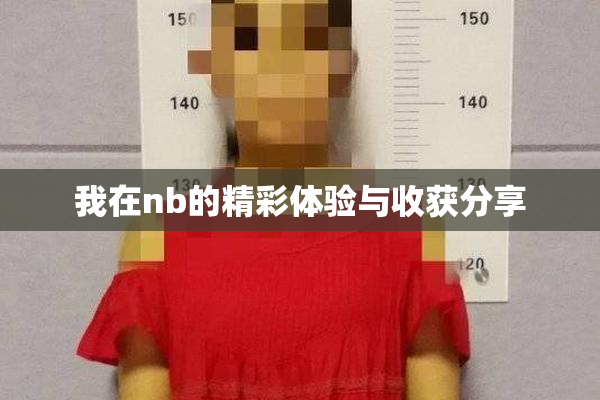 我在nb的精彩体验与收获分享