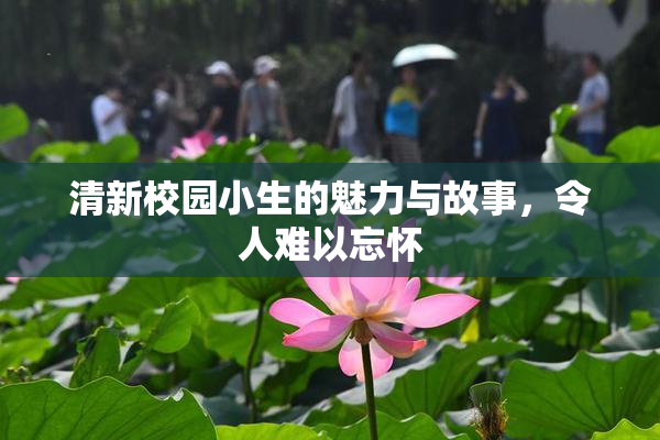 清新校园小生的魅力与故事，令人难以忘怀