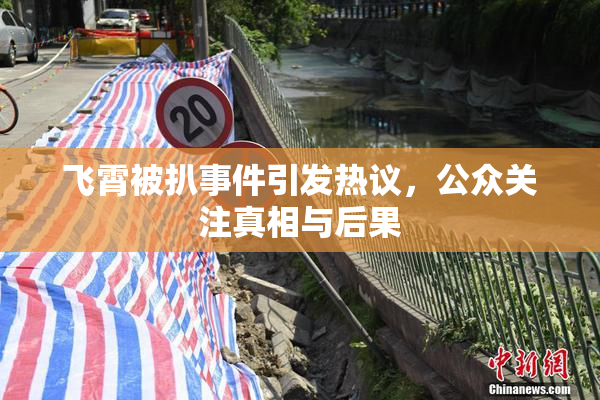 飞霄被扒事件引发热议，公众关注真相与后果