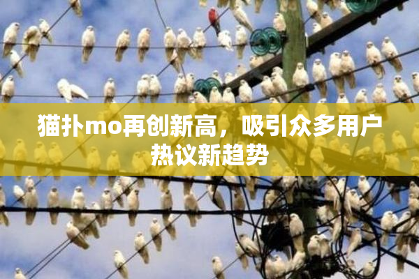 猫扑mo再创新高，吸引众多用户热议新趋势