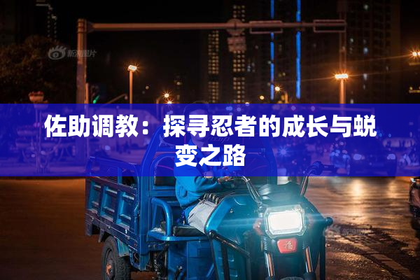 佐助调教：探寻忍者的成长与蜕变之路
