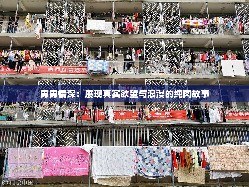 男男情深：展现真实欲望与浪漫的纯肉故事