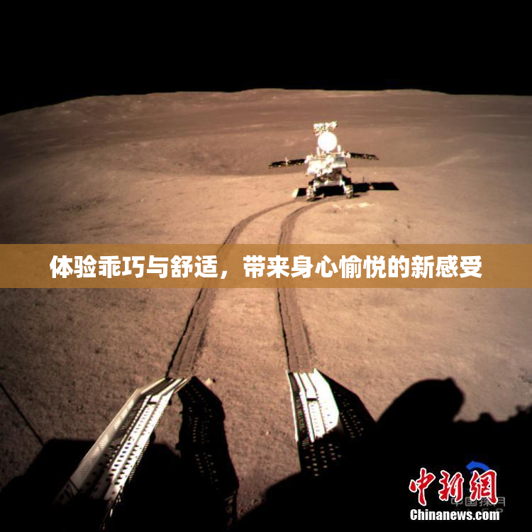 体验乖巧与舒适，带来身心愉悦的新感受