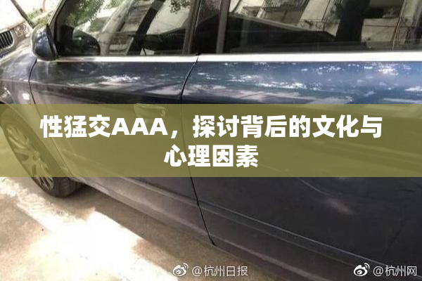 性猛交AAA，探讨背后的文化与心理因素