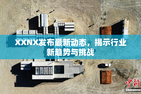 XXNX发布最新动态，揭示行业新趋势与挑战