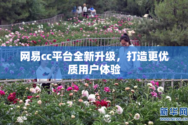 网易cc平台全新升级，打造更优质用户体验
