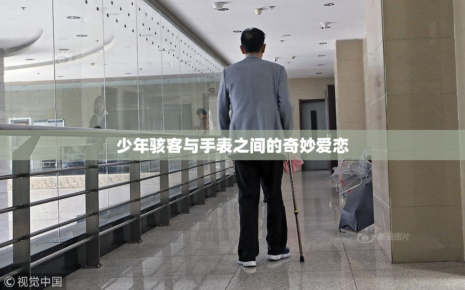 少年骇客与手表之间的奇妙爱恋