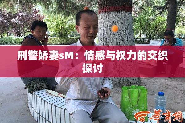 刑警娇妻sM：情感与权力的交织探讨