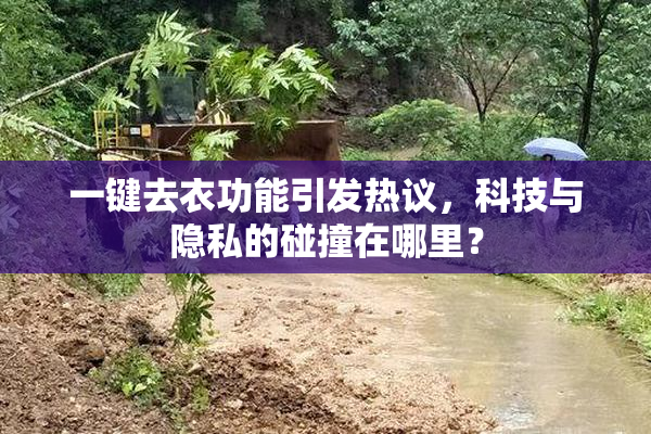 一键去衣功能引发热议，科技与隐私的碰撞在哪里？