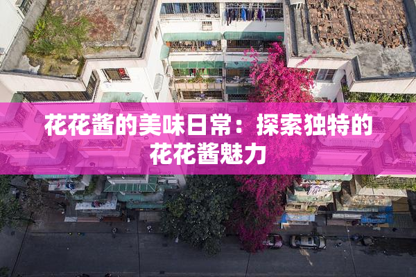 花花酱的美味日常：探索独特的花花酱魅力
