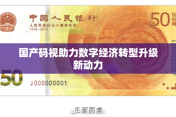 国产码视助力数字经济转型升级新动力