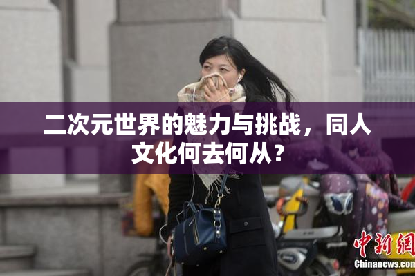 二次元世界的魅力与挑战，同人文化何去何从？