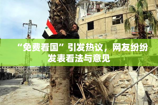 “免费看国”引发热议，网友纷纷发表看法与意见