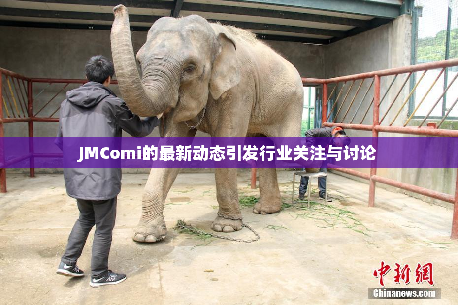 JMComi的最新动态引发行业关注与讨论