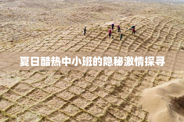 夏日酷热中小班的隐秘激情探寻