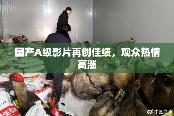 国产A级影片再创佳绩，观众热情高涨