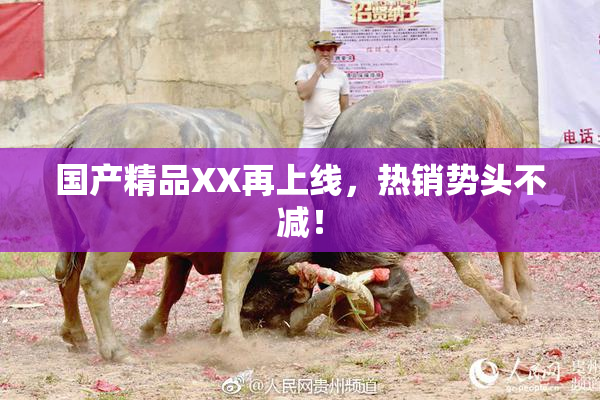 国产精品XX再上线，热销势头不减！