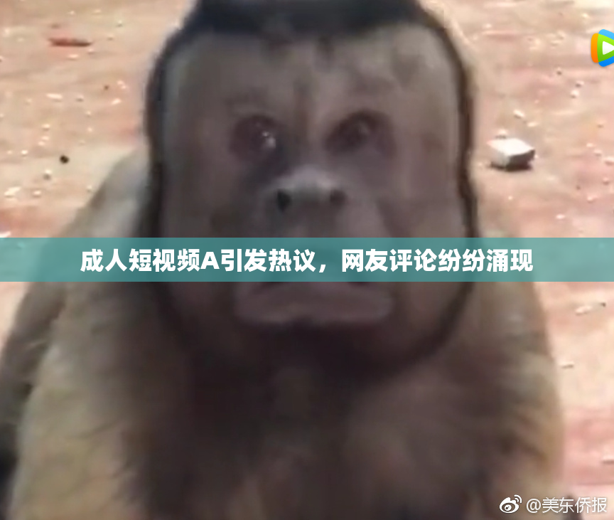 成人短视频A引发热议，网友评论纷纷涌现