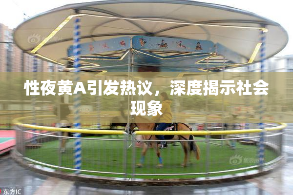 性夜黄A引发热议，深度揭示社会现象